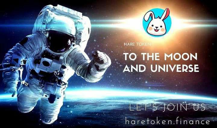 حمزة القيسي tweet media