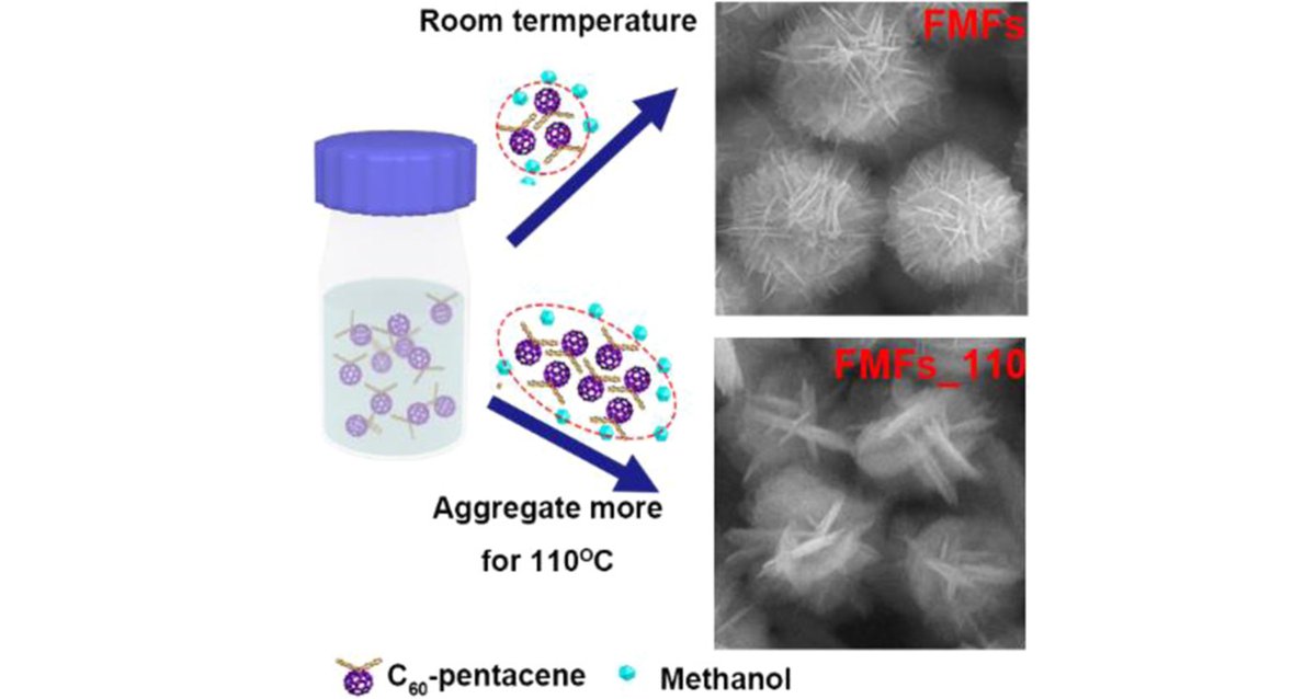 SmartMat2's tweet photo. #SelfAssembled #fullerene (#C60)-#pentacene #superstructures for #photodetectors. @Wiley_Chemistry 
Read it: https://t.co/Nfx9c6pZue https://t.co/57N3o7uTHl