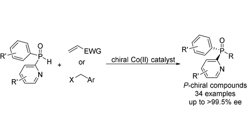 angew_chem's tweet photo. Cobalt-Catalysed Asymmetric Addition and Alkylation of Secondary Phosphine Oxides for the Synthesis of P-Stereogenic Compounds (Duan) @SNNUChina https://t.co/kdl0WM5E9h https://t.co/Q0FNfDhep7