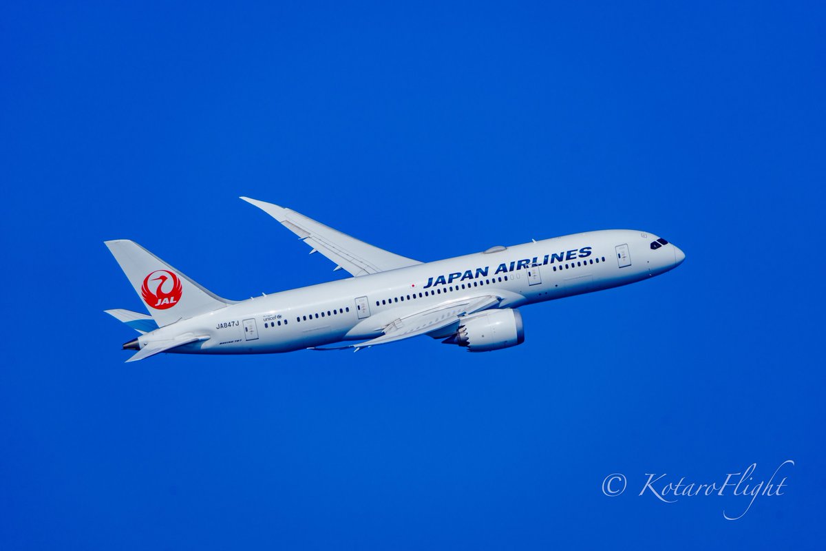 KotaroFlight's tweet photo. HND D滑走路から離陸して右旋回中の787✈️同じ787でも787-8と787-9はフォルムが異なる🤔
789と350の写真を間違えたので再度ツイします🙏ローガンズなので💦

#Aviation #Photograph #HND #RJTT #RWY05 #羽田 #JAL #JL311 #B788 #JA847J #JL29 #B789 #JA876J #海羽田 🗓2021/11/20✈ https://t.co/NENWGa5oDk