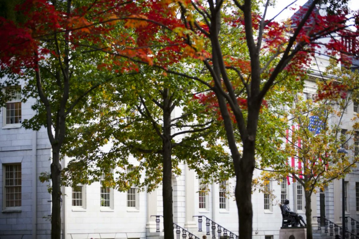 John Harvard having a restful Tuesday morning #HarvardinAutumn