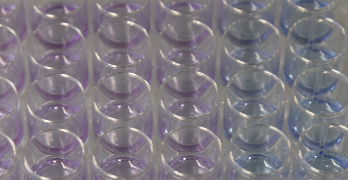 Call for nominations for 3RCC's 2021 3Rs Awards to recognise outstanding work in the 3Rs and promote dissemination. Main prize 3Rs Award worth CHF4,000, while CHF1,000 will be awarded to Young 3Rs Investigator. Call open until Dec. 31st <a href="/CH_universities/">swissuniversities</a> 
swiss3rcc.org/en/funding-awa…