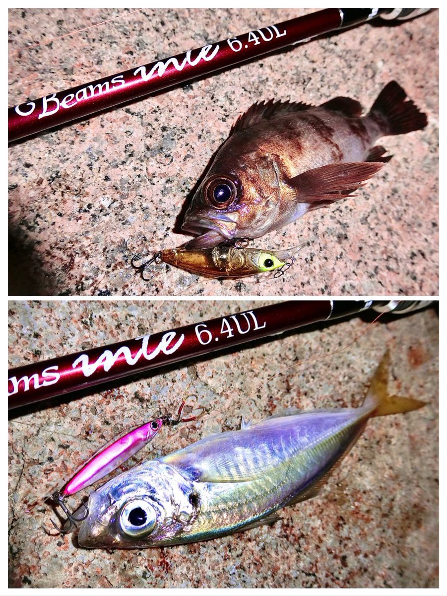 H0UJbUslyQZpsh4's tweet photo. 今日はINX.labelの佐藤さんとライトゲーム🐟
風が強くて水面が波立ってたのでトップの釣りはハマらず、6gのメタルジグがハマりました(^_^)♪
佐藤さん、お疲れ様でした☆

#Fishman #inte64UL #山豊テグス #レジンシェラー #Zeake #Rサーディン #APIA #DOVER46 #INXlabel https://t.co/TYD04tDmD6