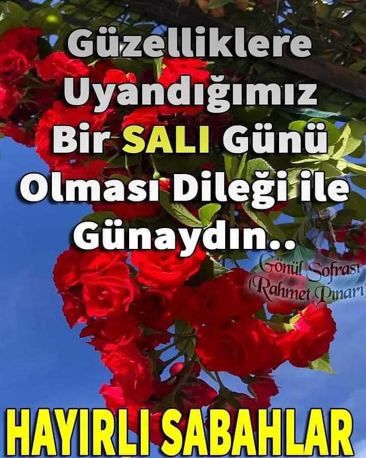 AK_ŞAFAKYILDIZI®EVET tweet media