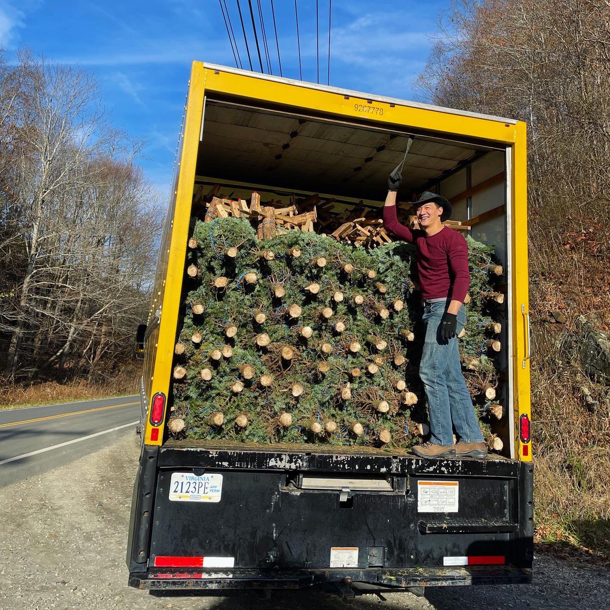TreeRidersNYC's tweet photo. Tree Riders NYC FUN FACT #8: the trees are en route to New York right now! https://t.co/m26gBdw91h