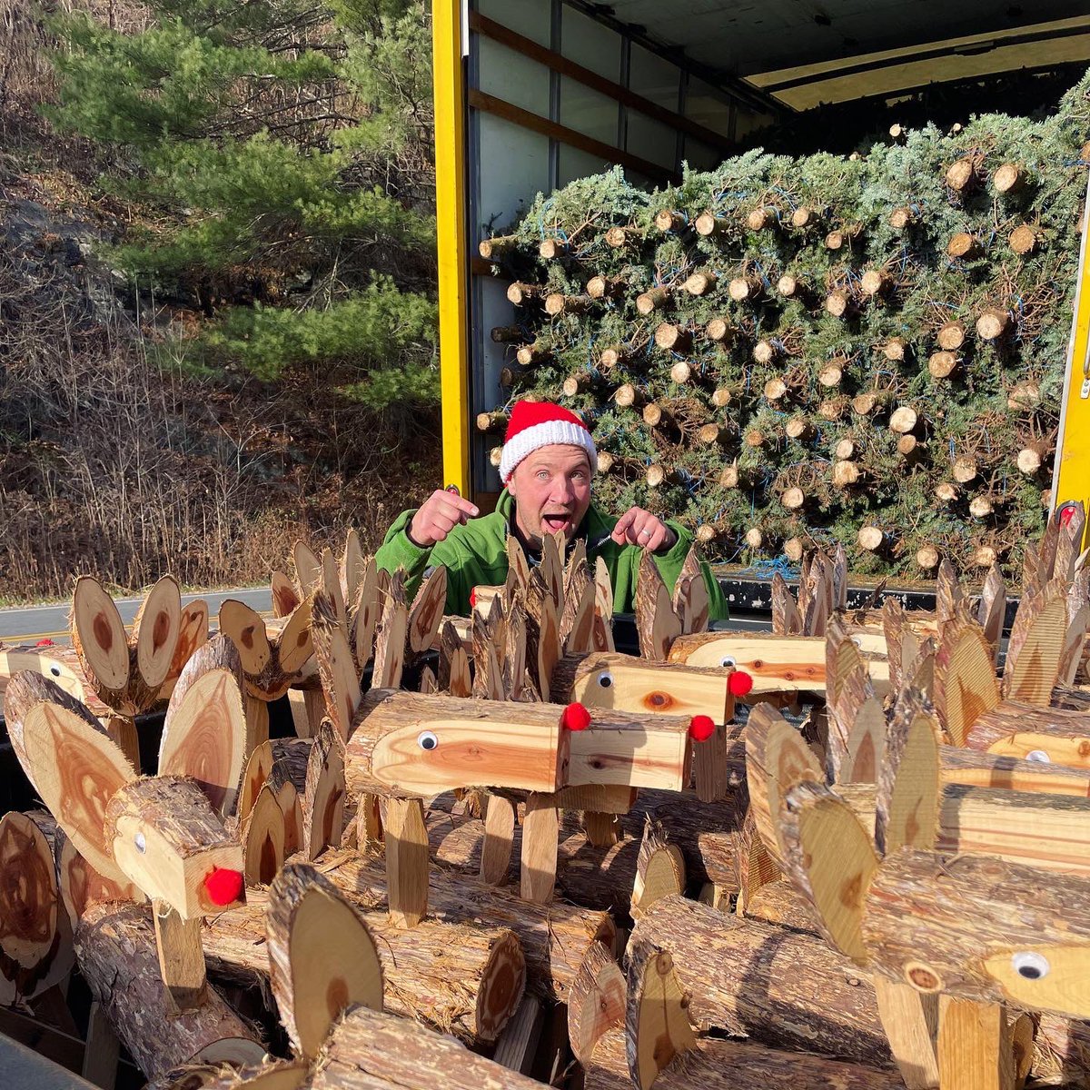 TreeRidersNYC's tweet photo. We transport our trees fresh from the farm to the city every year. Check out these extra “deer” friends of ours. https://t.co/Vjxsrm6U9w