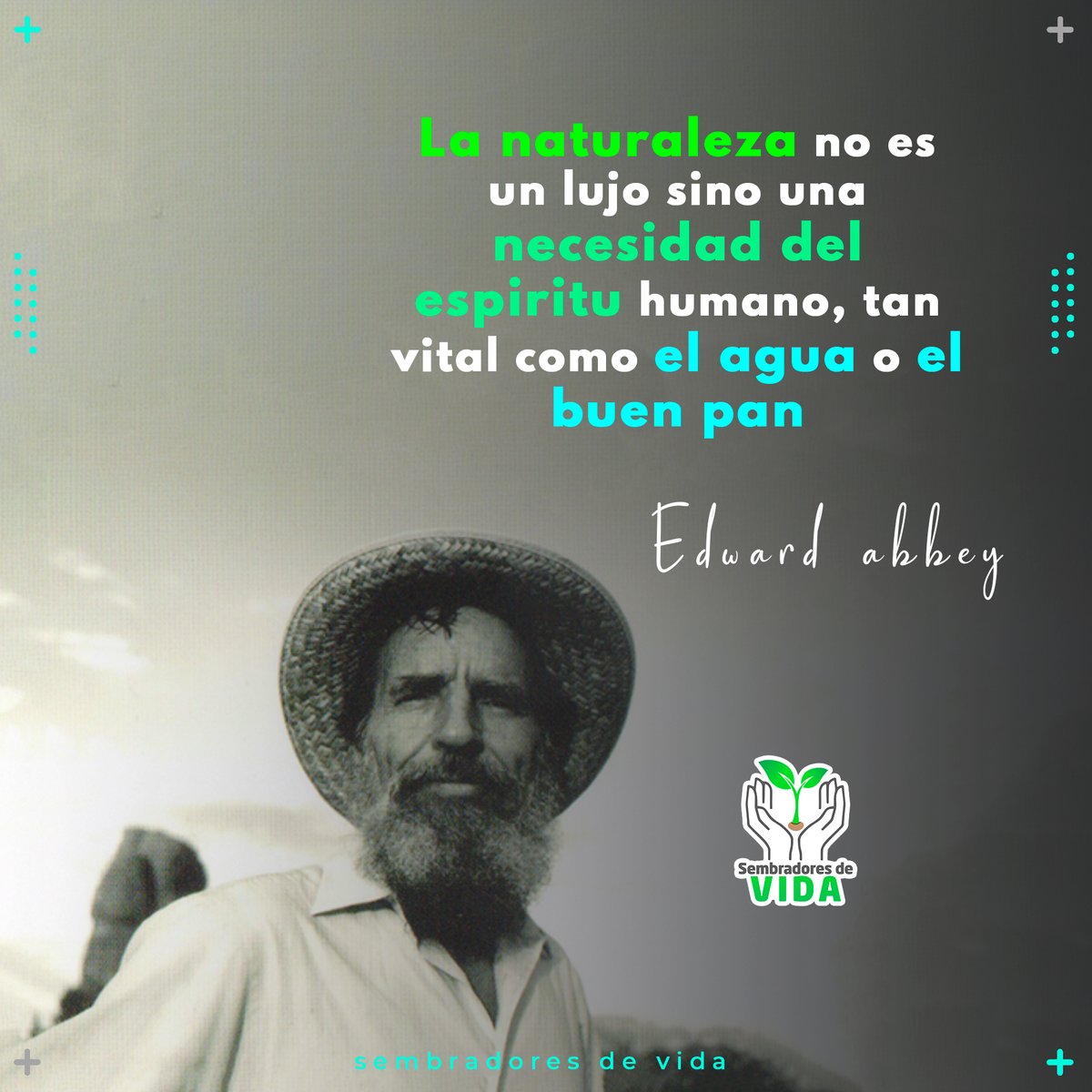 ecosembradores's tweet photo. 🍃Todo lo que compone a la naturaleza tiene como fin la vida y desarrollo de las especies, por ello es imprescindible preservarla

La naturaleza no es un lujo sino una necesidad del espíritu humano, tan vital como el agua o el buen pan  - Edward  Abbey 

💚🌱🌳
#SembradoresdeVida https://t.co/GNpHpMLFbT