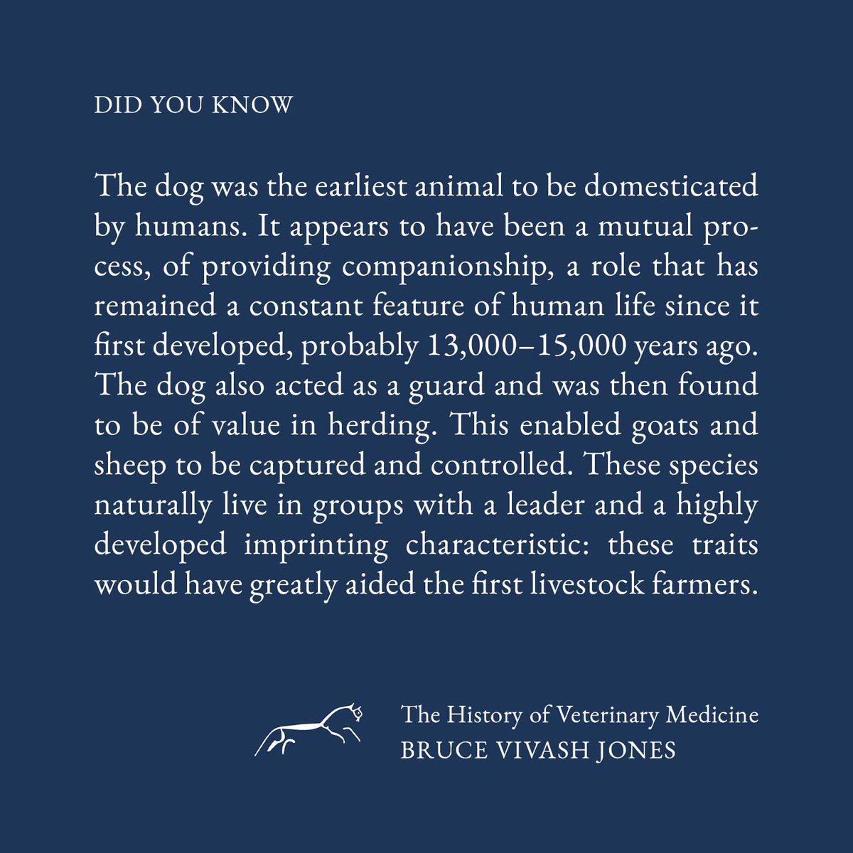 5m_Books's tweet photo. The History of Veterinary Medicine and the Animal-Human Relationship by Bruce Vivash Jones
From the ancient past to the present, a look at the history of veterinary medicine
#veterinarymedicine #historyofvetmedicine #5mbooks
#instabooks https://t.co/gXAh4PpvBD