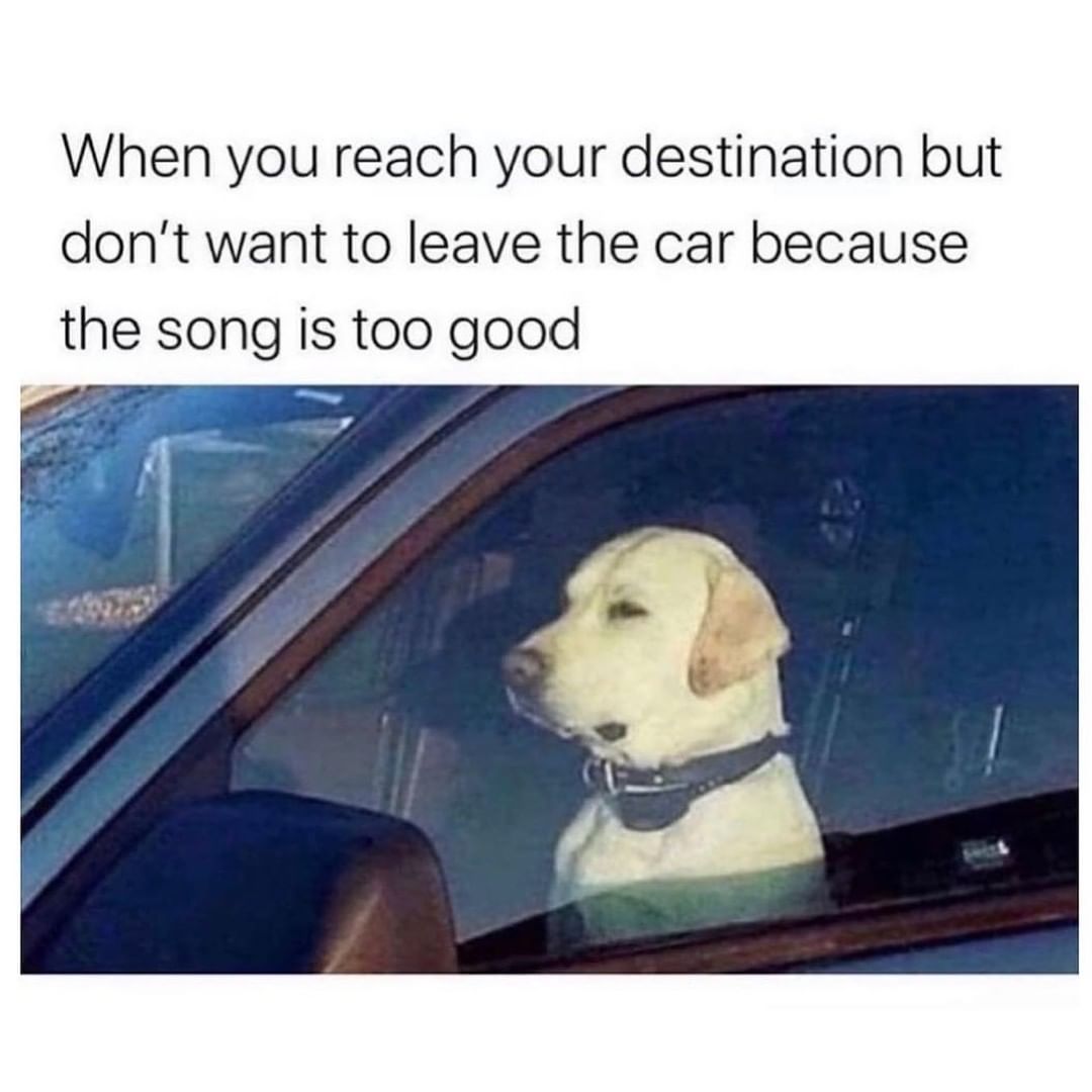 What song you would wait to finish?😂

#dog #funny #edmhumor #edmfamily #edmlife #edmlove #edmlifestyle #edmnation
