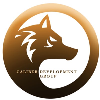 caliberdevgroup's tweet image. #NewProfilePic