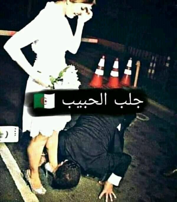 MohamedddAlaa's tweet photo. جلب الحبيب https://t.co/4nJTNRnym7