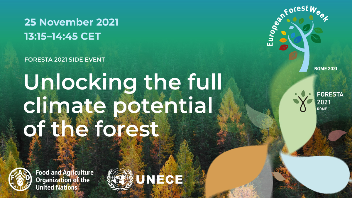 FAOForestry's tweet photo. Join us on 25 November at a #EuropeanForestWeek side event on unlocking the full climate potential of the forest!
Learn more and register now: https://t.co/XLl704SxVd
@UNECE #FutureofForests https://t.co/sElb4EYIYp
