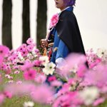黄桜ガオロのツイート画像