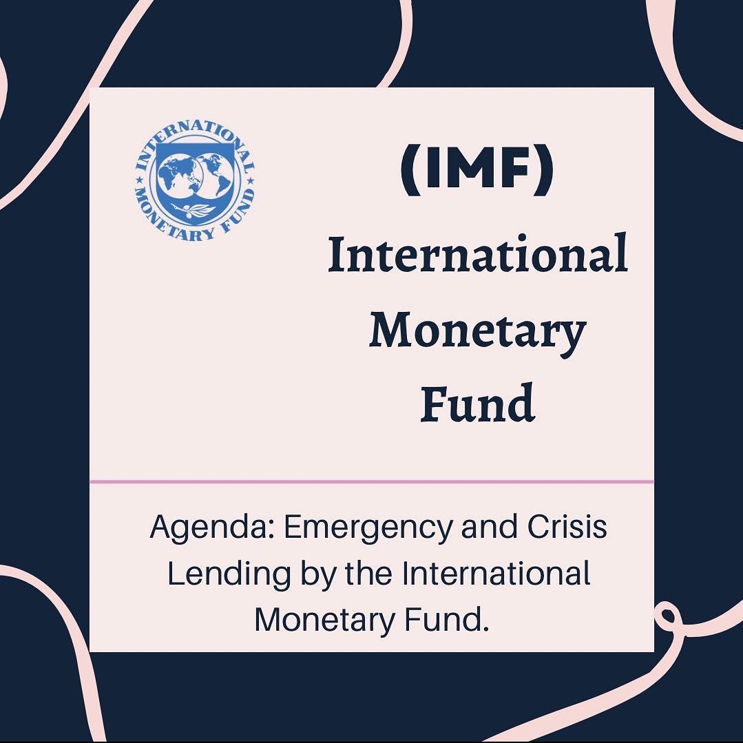 avy_mun's tweet photo. Our second committee and it's agenda; We present to you IMF! 
_
#avymun 
#pursuingperfection https://t.co/9iNqsxp2Ko