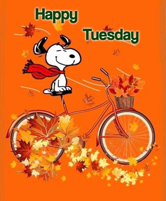 deborah_saffer's tweet photo. Good morning All. Happy Tuesday. Asking for #Prayers for my home. #God knows the situation. #Physical and #Mental Heath issues. I sure Hope Everyone has a Truly Blessed Day And Much Unconditional Love Always💛#sickbutblessed #YouAreEnough #KindnessMatters #MentalHealthMatters https://t.co/uYbEUN4SRI