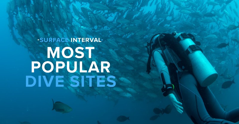 simplyscuba's tweet photo. So what are the most popular dive sites in the world? Well luckily for you this episode of the Surface Interval exists!

#surfaceinterval #mostpopulardivesites #scubadiving #scuba #diving #simplyscuba #newvideo #youtube #happynewyear