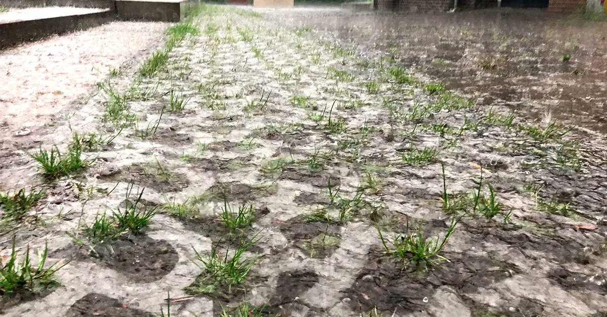 Stap 1. 95% van de regenbuien infiltreren. 

Alle buien infiltreren, inclusief het omringend verhard oppervlak, als eerste via de groen parkeervakken. 

Benieuwd wat we voor jouw project kunnen betekenen? 
Doe een intake! buff.ly/3wORQj5
