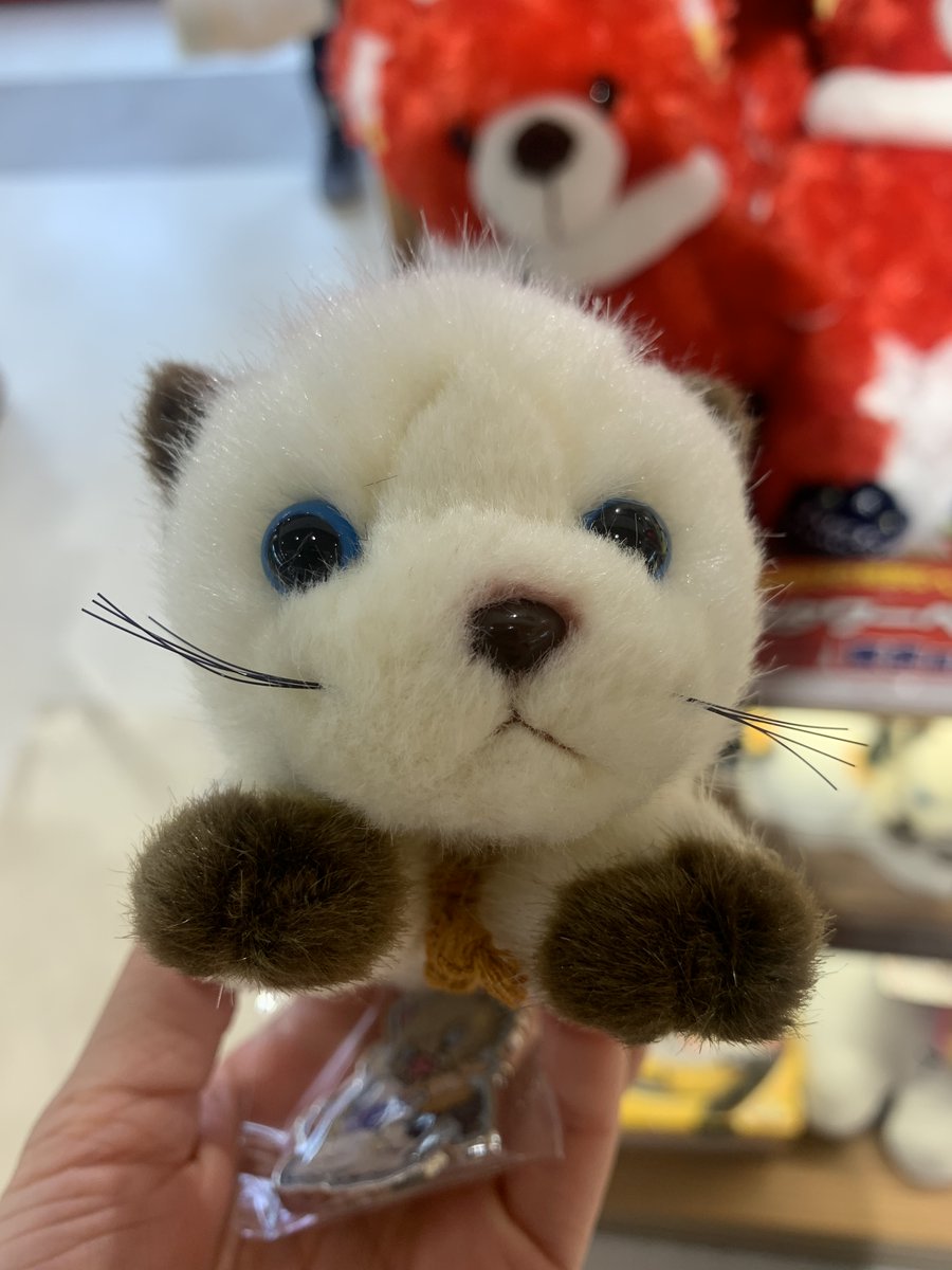 VKanon18's tweet image. then it's trip time! had 3 off days at late August yay ;w; drove to Hakone! this was #Ebina #servicestop .. I almost splurged on this cat as I really like Siamese ;w; then #Pokemon related stuff which I've seen before XD #tokyobanana #throwback #trip #travel #kantou #japan