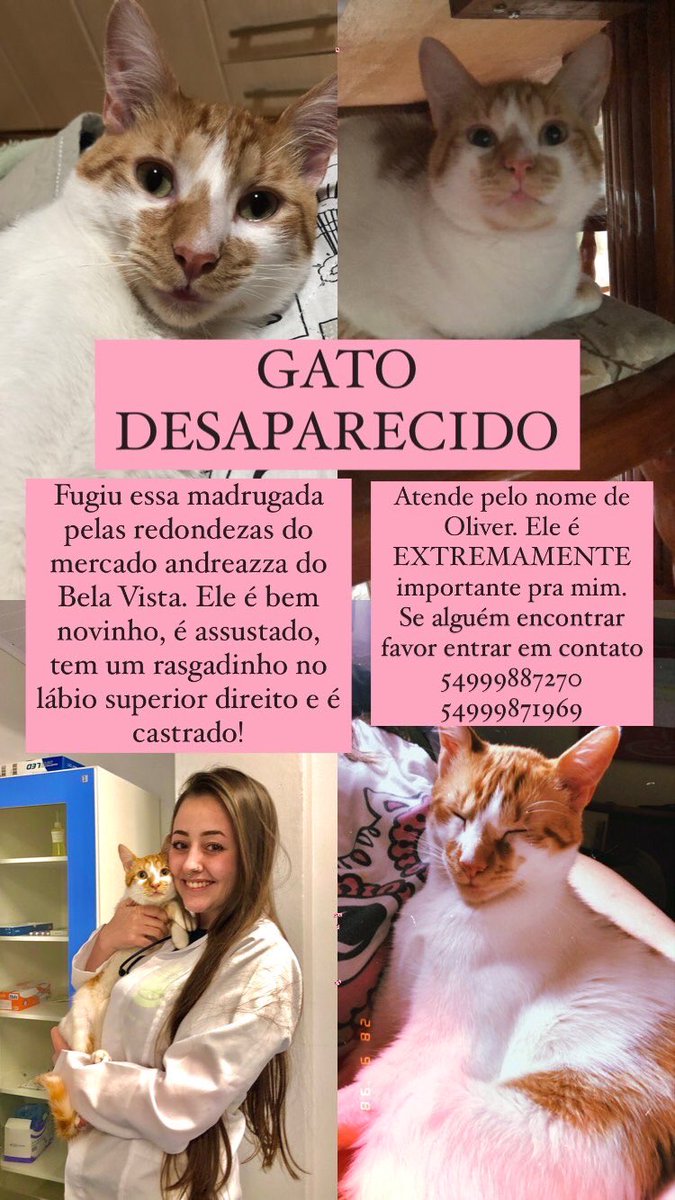 vctrbrb's tweet photo. Perdido em Caxias do Sul!!! Quem puder dar RT e dar fav… obgg https://t.co/X9tqALKv6m