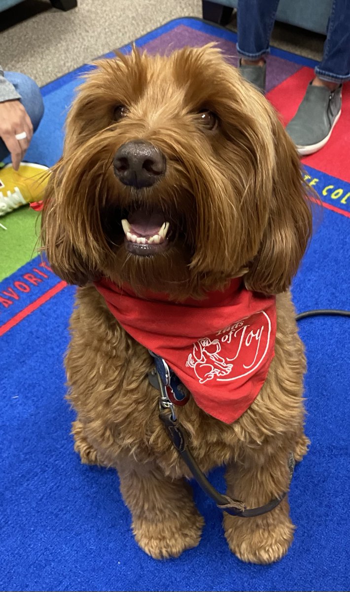 Murphy, Griswold School's new Therapy Dog, has brought lots of joy and smiles to the children he works with! #GriswoldSOARS