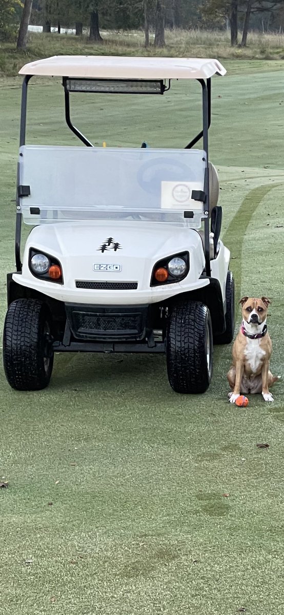 wpsup's tweet photo. Foxy is ready to play!! https://t.co/QtYYTc7l09