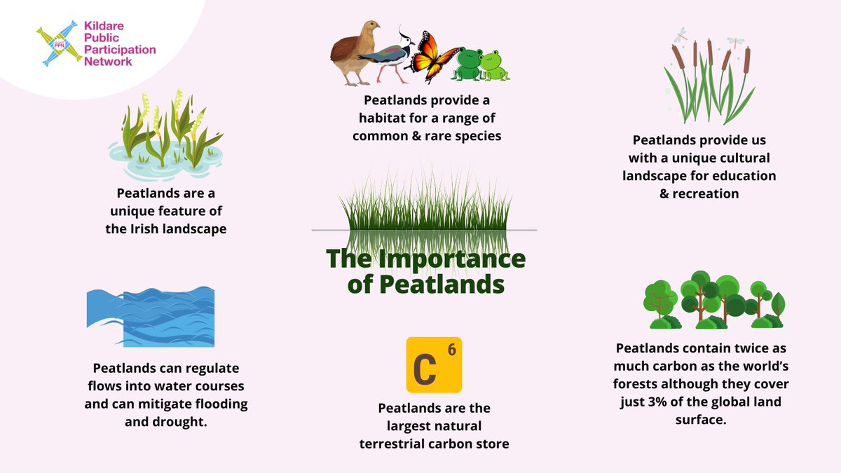 PPN_Kildare's tweet photo. Our Bogs have many benefits including helping to mitigate the effects of climate change by storing carbon
For our #ClimateActionWeekend we have 2 peatland themed events: Lodge Bog Walk with @PeatlandConserv & Proposed National Peatlands Park Talk
https://t.co/gFHaFhZ17N https://t.co/nUY3Q73bVf