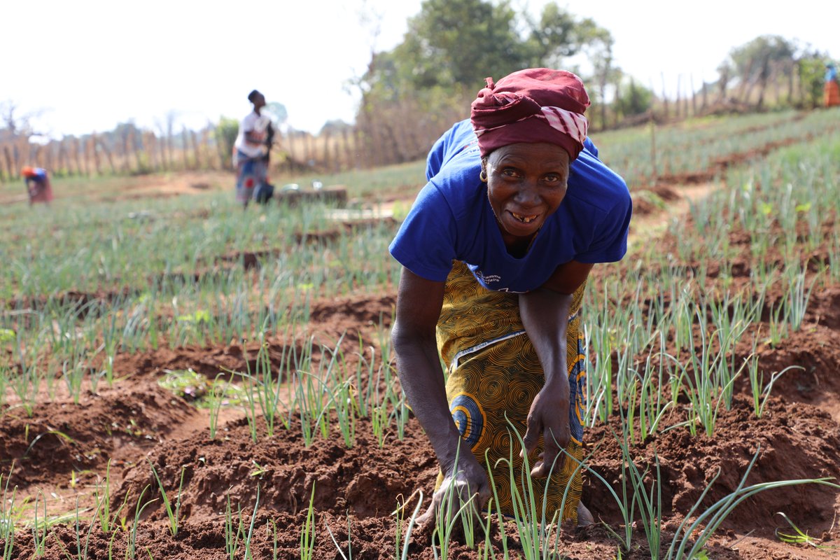 WFP_Cotedivoire's tweet photo. #savingLives 
#ChangingLives 
At WFP, helping smallholder farmers increase their incomes and improve their livelihoods is essential to develop sustainable food systems, promote food security and achieve #HungerZero. https://t.co/b4PlqD5aqc