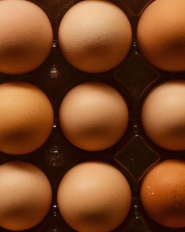 naoculinaria's tweet photo. ¿Ya desayunaron? ☺️🍳

Pásenle a @mucara_veracruz, aquí los esperamos con café rico. ❤️ https://t.co/dhpL7OsJ3o