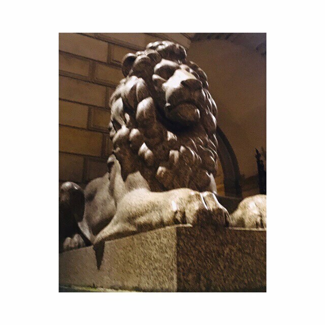 Sibilcita's tweet photo. Hamburger Löwen 🦁-Zwilling II. #leslionsdanslemobilierurbain
•
•
•
#twinlion #liontwin #hamburgerrathaus #alterwall #rathauslöwe #typischhamburch #visithamburg #hamburgfotografiert #hamburgereckenentdecken #hansegang #explorehamburg #hhahoi #meinhamb… https://t.co/pQglm94Irj https://t.co/1Ak8XHRkNA