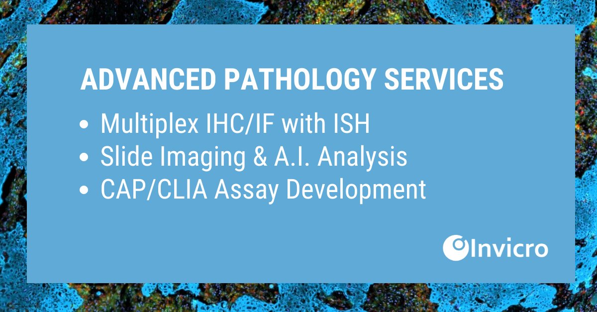 Invicro's tweet photo. Invicro has extensive experience working with immunohistochemistry (IHC) and in situ hybridization (ISH) techniques for visualization and localization of DNA, RNA and proteins. Discover how we can support your translational research and drug development.
#pathologyservice https://t.co/hjjzs9oBnF