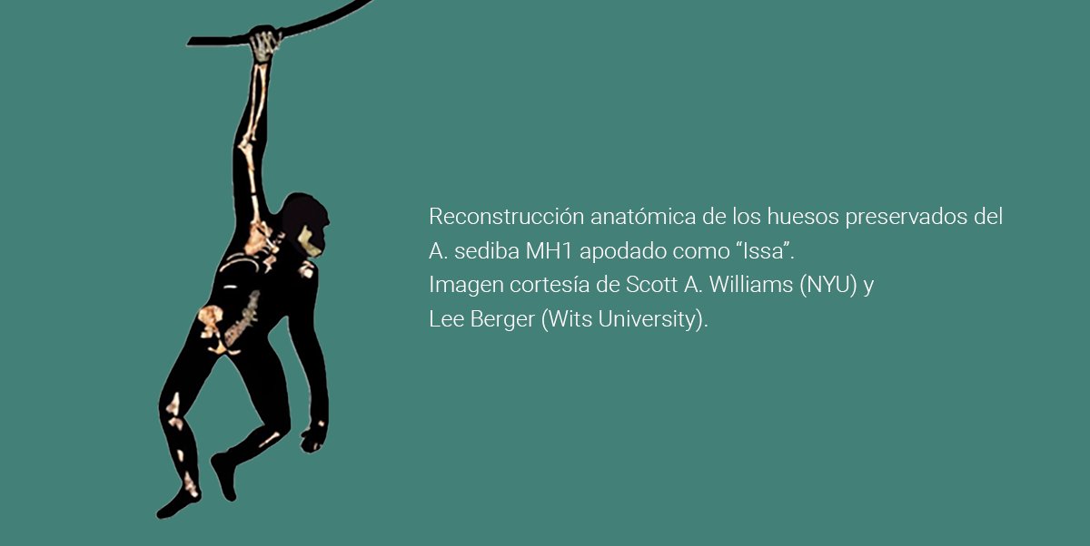 Complutense tweet media