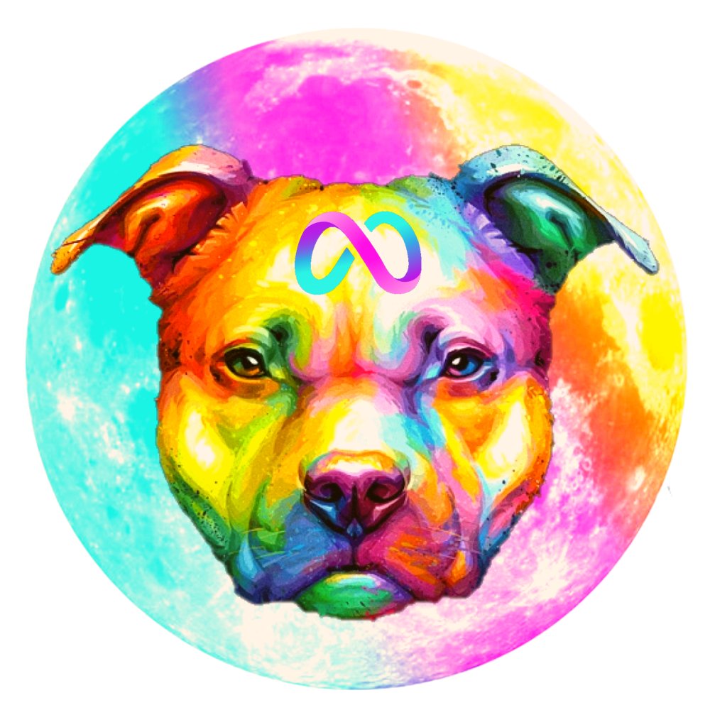 MetaPitbull's tweet photo. There will be decisions within the community very soon, stay tuned for the next polls 👀

#MetaPitbull #ToTheMOON 🔥🚀 https://t.co/WXbvem01Yw
