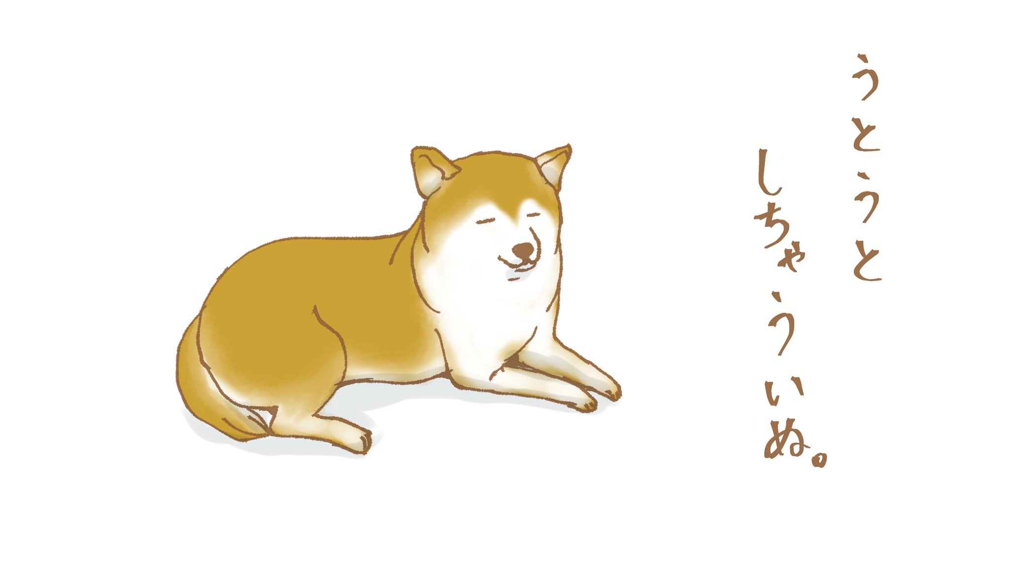 jp4wtmop1kym
