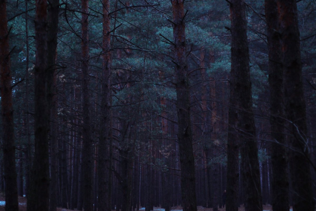 NatalieIna's tweet photo. Cold dreams before the arrival of Winter.
Model - Inna Malygina.
Natalie Ina Photography 2021.
#coldcolors #melancholy #naturephotography #atmosphericphotography #paleness #NatalieIna #natalieinaphotography https://t.co/dRJhwIFyPZ