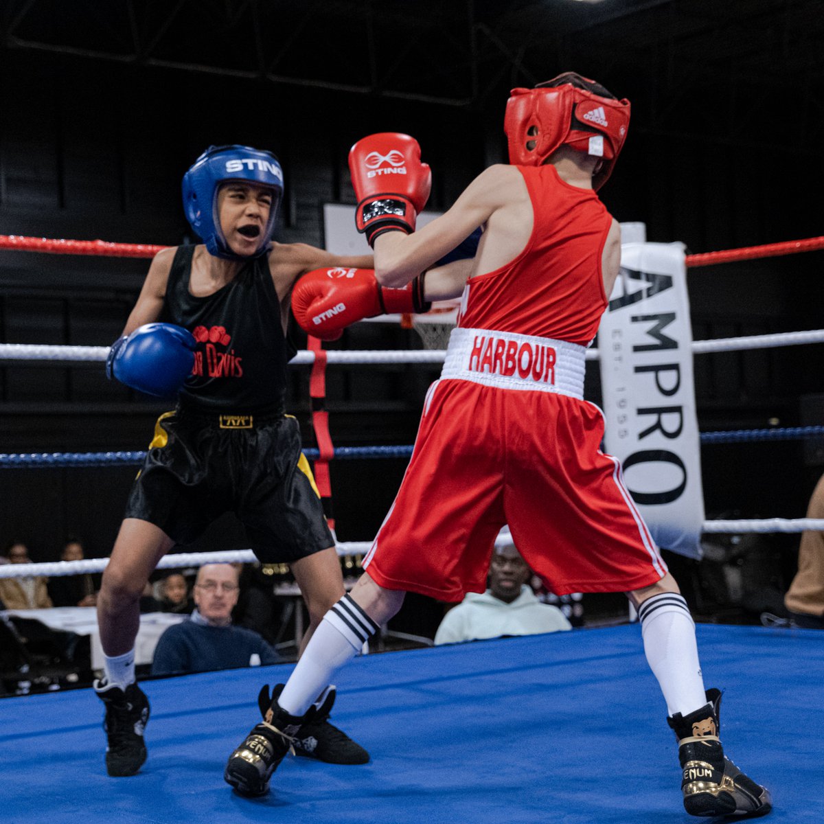 Dondavisboxingacademy tweet media