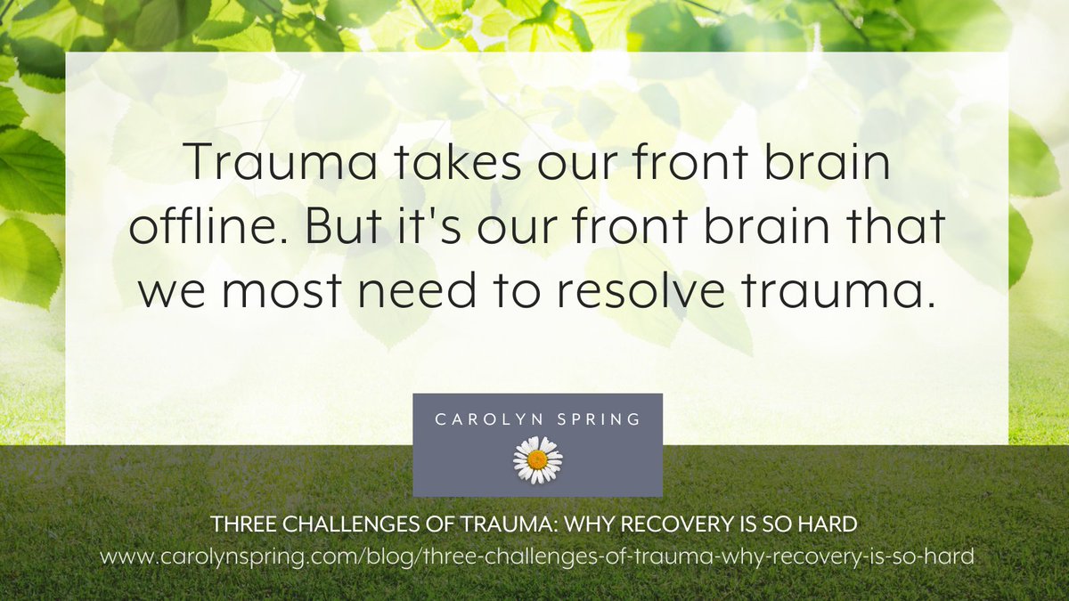 We cannot just think our way out of #trauma – to decide that we're going to move on, and recover via willpower alone. Trauma is a physical phenomenon, not merely a cognitive one, and it impairs our thinking capacities.

Read more: carolynspring.com/blog/three-cha…

#therapistsconnect #ptsd