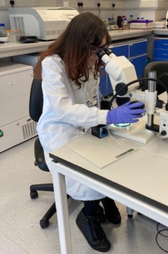 the Node (@the_node) on Twitter photo New on the Node: BSDB Gurdon Summer Studentship Report – Stephanie Leadbitter
Read about Stephanie's research on mechanical regulation of cell division in developing tissues in the <a href="/LabWoolner/">Woolner Lab</a> <a href="/OfficialUoM/">The University of Manchester</a> , funded by a Gurdon/<a href="/_BSDB_/">British Society for Developmental Biology</a> summer studentship New on the Node: BSDB Gurdon Summer Studentship Report – Stephanie Leadbitter
Read about Stephanie's research on mechanical regulation of cell division in developing tissues in the <a href="/LabWoolner/">Woolner Lab</a> <a href="/OfficialUoM/">The University of Manchester</a> , funded by a Gurdon/<a href="/_BSDB_/">British Society for Developmental Biology</a> summer studentship