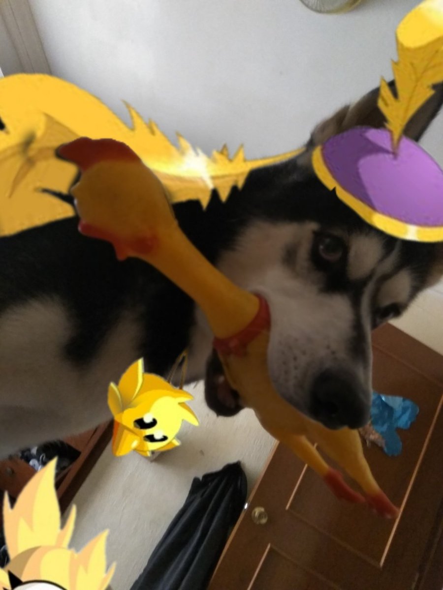 BluePhoenix306's tweet photo. @ES_DOFUS Hola a todos! :D, les presento a Revenant!, Con el cual vivo muchísimas aventuras a su lado y que le encanta cazar muchos tofus y pios a ratos. 💖💙☺️ https://t.co/LpcCaVcwI3