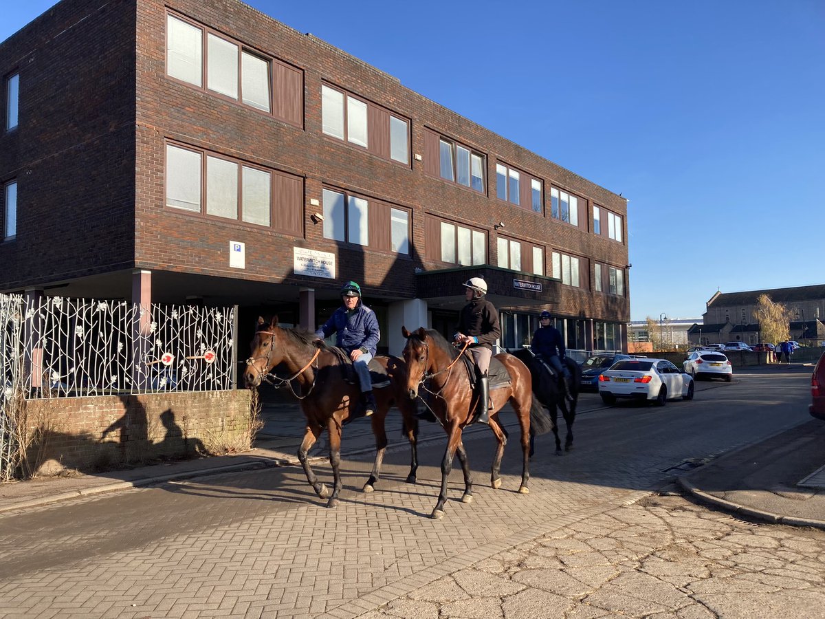It’s been a lovely morning <a href="/NewmarketGallop/">Newmarket Gallops</a>. Cold at the outset, obviously, but this is definitely the acceptable face of autumn/winter.