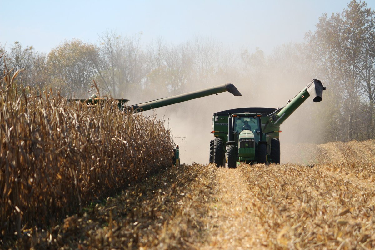 According to the USDA's weekly crop progress report, 91% of corn acres and 94% of soybean acres have been harvested in Indiana. #Harvest2021 #Harvest21