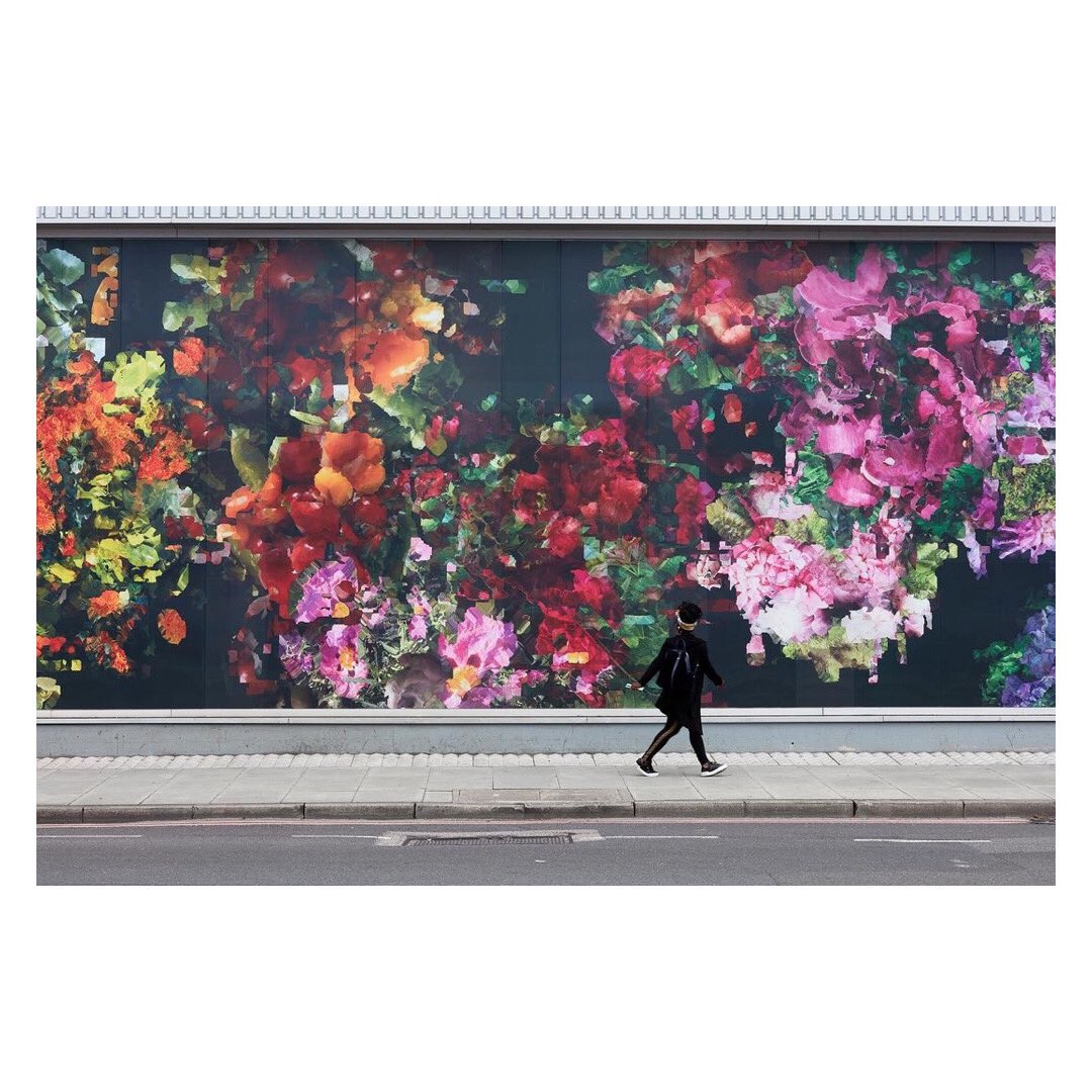 Check out @SianFan ‘s commission “Remedy” in New Covent Garden Flower Market! @MarketFlowers