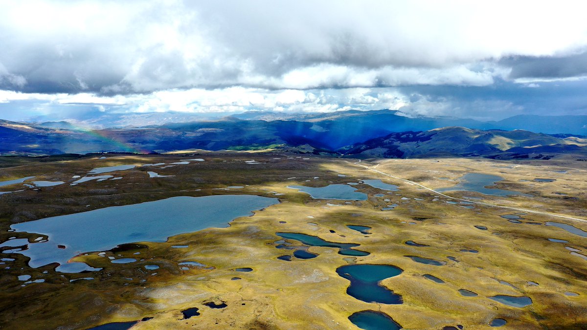 manuelroncal's tweet photo. Lagunas de Alto Perú #Cajamarca, un espacio que debe ser conservado y aprovechado de manera sostenible impulsando iniciativas ecoturísticas. #CajamarcaBiodiversa #UNC #IncaFinch https://t.co/DDTlIuXdno