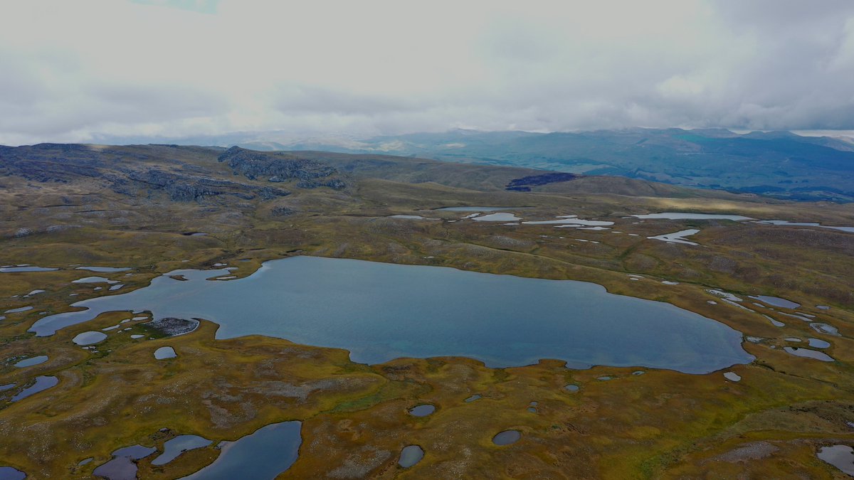 manuelroncal's tweet photo. Lagunas de Alto Perú #Cajamarca, un espacio que debe ser conservado y aprovechado de manera sostenible impulsando iniciativas ecoturísticas. #CajamarcaBiodiversa #UNC #IncaFinch https://t.co/DDTlIuXdno