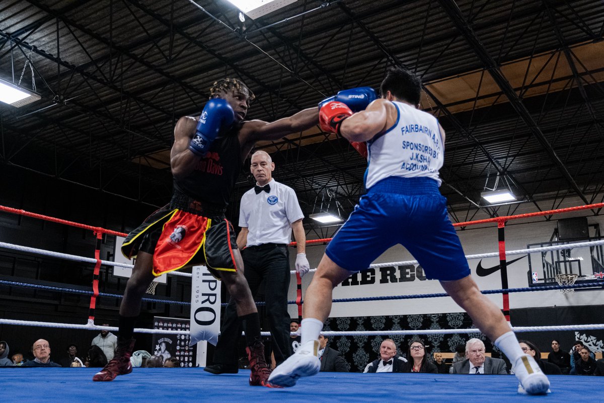 Dondavisboxingacademy tweet media