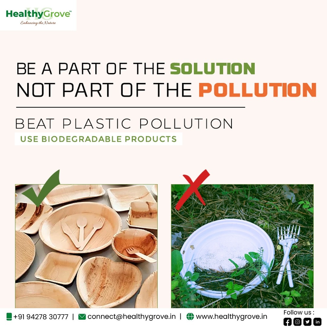 HealthyGrove's tweet photo. An Excellent Alternative to Plastic, Thermocol and Paper
#healthygrove #enhancingthenature
#organic #sustainable #strong #chemicalfree #intrend #ecofriendly #biodegradable #natural #travelessentials https://t.co/if9XbFYOVV