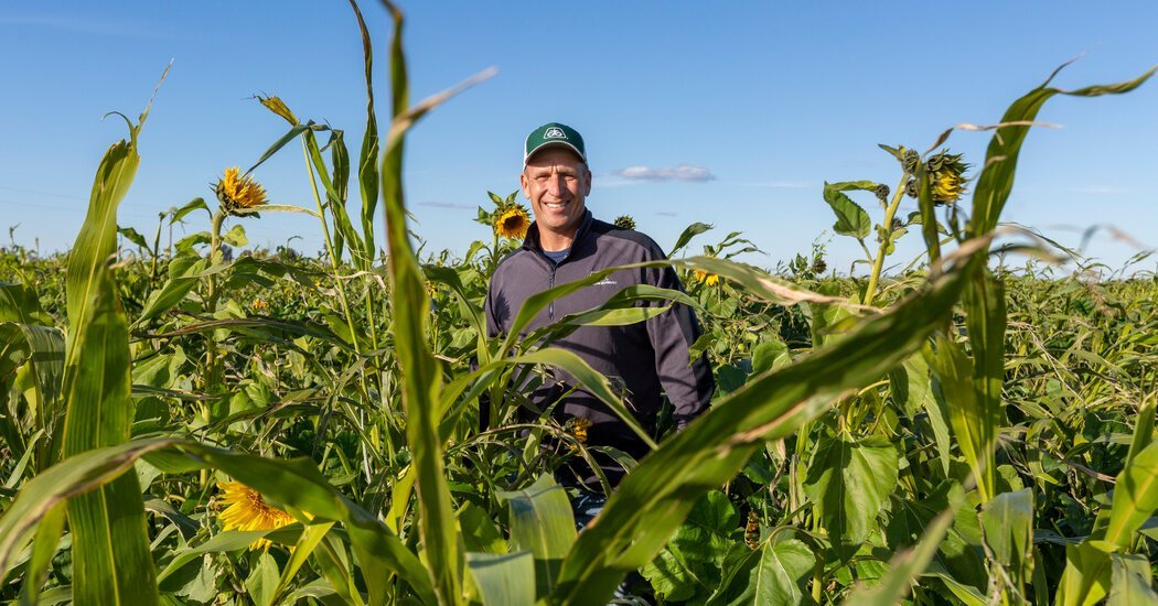 PierreLabMN's tweet photo. The Latest Farm Product: #CarbonCredits - Global cropland has #ThePotential to sequester #AsMuch as 570 million metric tons of carbon #PerYear. New projects that pay farmers to adopt climate-friendly practices could help. 🆘 https://t.co/MfujS3Z87y 🐬 https://t.co/5s0sjR1CIO