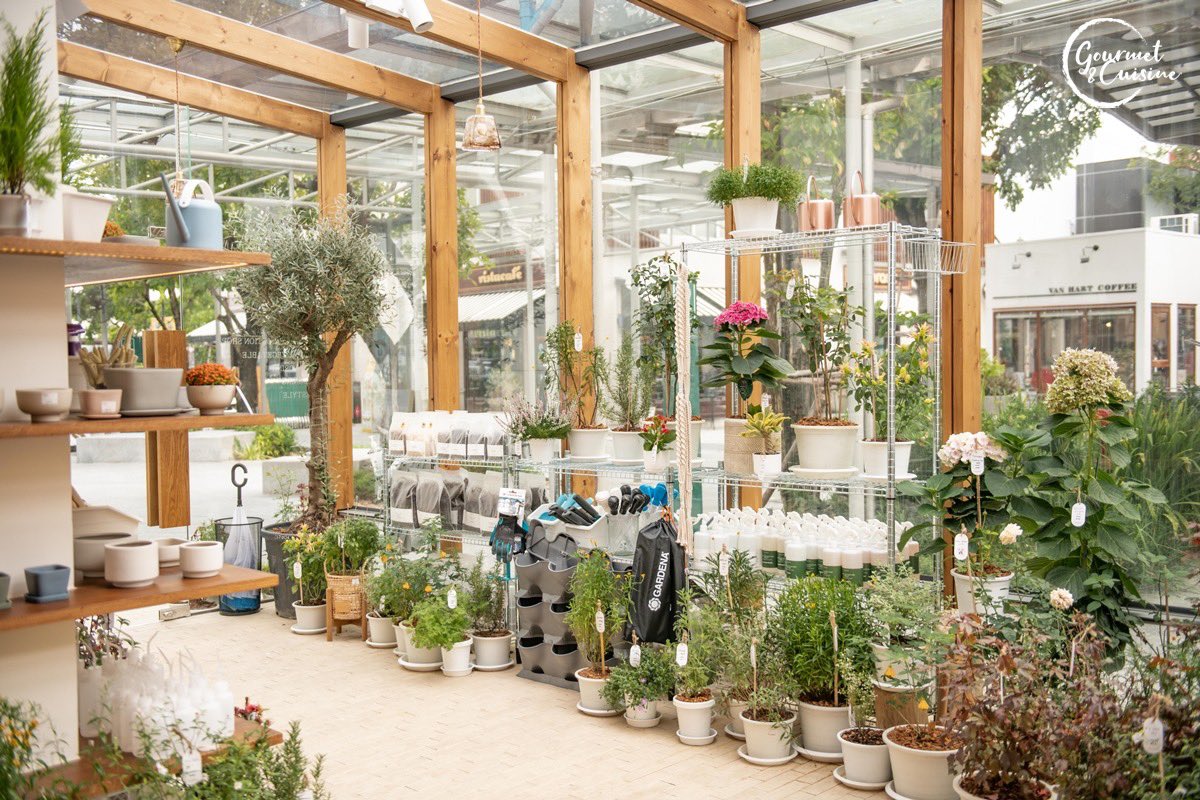 gourmetthai's tweet photo. #Firstdatefarm 🌿🌼
คาเฟ่ และ natural selection shop สวย ชวนอบอุ่นในโครงการ The Circle ราชพฤกษ์ ที่ต้องการนำเสนอรสชาติของ อินทผลัม และสินค้า natural ในรูปแบบที่หลากหลาย
.
🕗 10.00 - 20.30 
📞 090-994-9653
.
#gourmetandcuisine 
#gcreview https://t.co/TQyVAph5fo