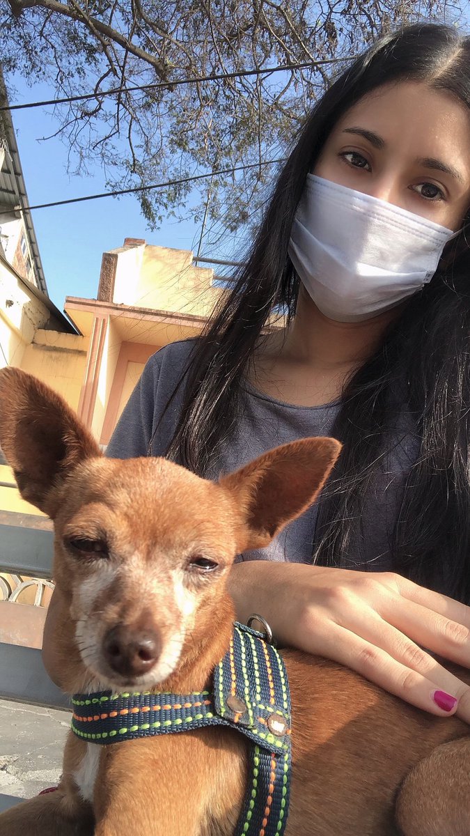 SoleLovesYou's tweet photo. Con la lisiada. Esperando al “dogtor”. https://t.co/uE8aV1Br7q