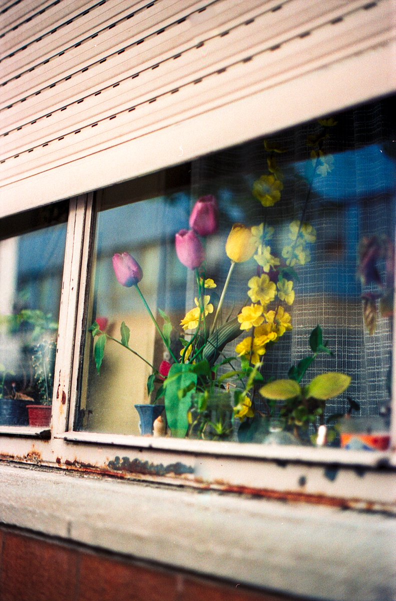 suffer_rosa's tweet photo. Mataderos, 35mm https://t.co/745UY1R59k