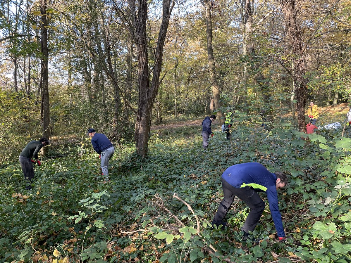 We celebrate Green Week again <a href="/EBRD/">The EBRD</a>! Thrilled to be part of the tree planting day with The Conservation Volunteers at Petersham Common in Richmond! And, contrary to last year, it is not raining!!!! <a href="/TCVtweets/">The Conservation Volunteers (TCV)</a> <a href="/EBRDgreen/">EBRD Green</a>